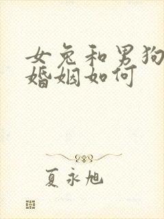 女兔和男狗相配婚姻如何