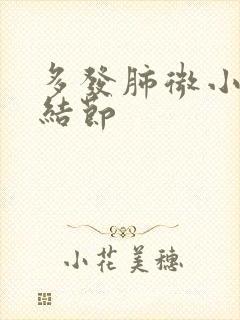 多发肺微小实性结节封面