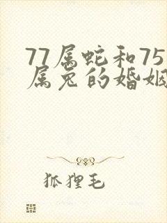 77属蛇和75属兔的婚姻