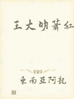 王大明萧红小说