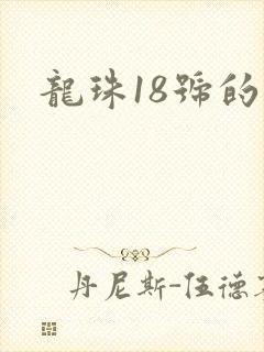 龙珠18号的脚
