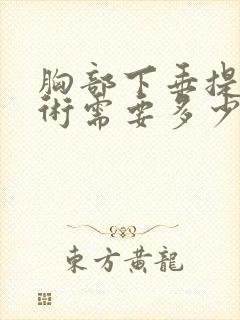 胸部下垂提拉手术需要多少钱封面