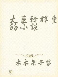 大臣干群皇太后的小说