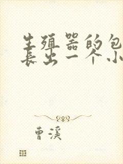 生殖器的包皮上长出一个小肉疙瘩封面