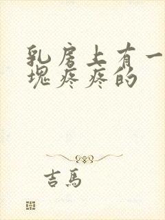 乳房上有一个肿块疼疼的