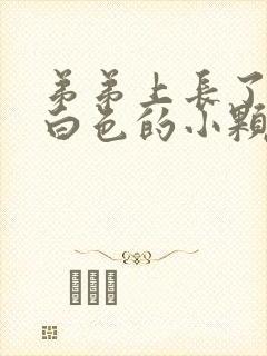 弟弟上长了很多白色的小颗粒