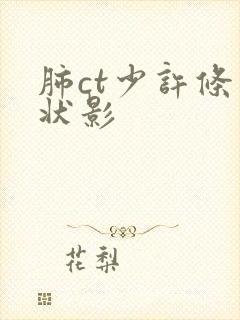 肺ct少许条索状影