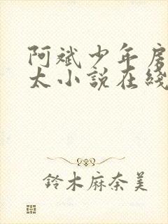 阿斌少年房东太太小说在线阅读