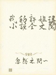 我的许姐很温柔小说全文阅读