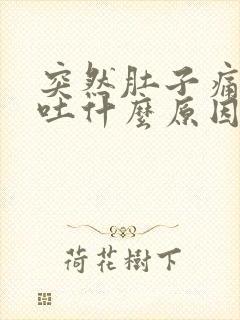 突然肚子痛还想吐什么原因封面