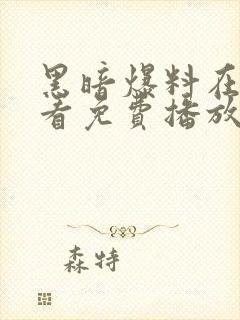 黑暗爆料在线观看免费播放电视剧