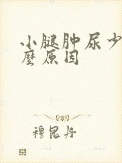 小腿肿尿少是什么原因