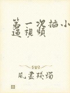 第一次插小芳的逼视频