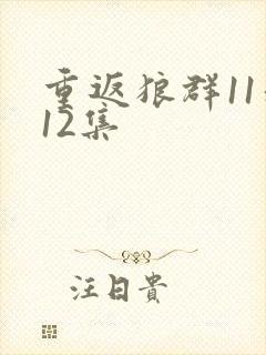 重返狼群11和12集