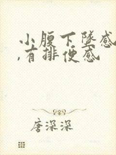 小腹下坠感胀痛,有排便感