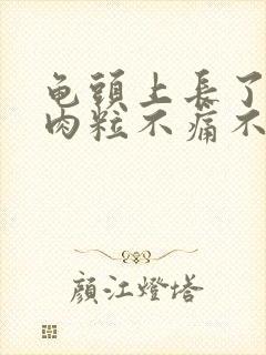 龟头上长了一颗肉粒不痛不痒