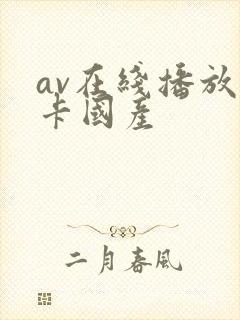 av在线播放不卡国产