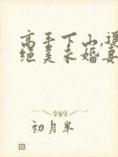 高手下山,退婚绝美未婚妻全集封面