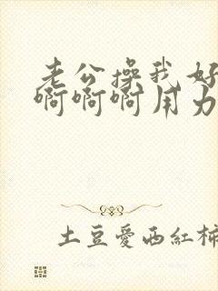 老公操我好爽啊啊啊啊用力啊封面