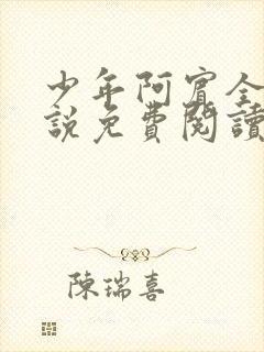 少年阿宾全文小说免费阅读笔趣阁