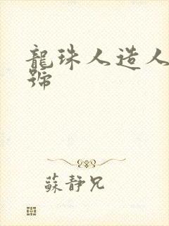 龙珠人造人13号