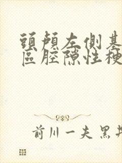 头颅左侧基底节区腔隙性梗塞