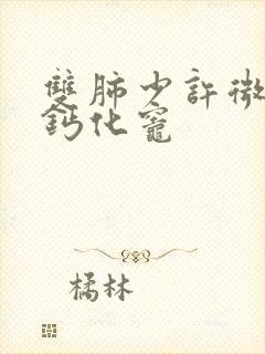 双肺少许微结节钙化灶