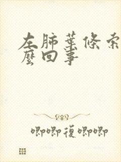 左肺叶条索影怎么回事