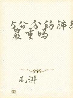 5公分的肺结节严重吗封面