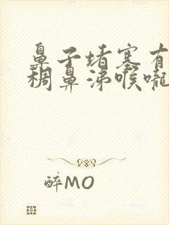 鼻子堵塞有黄粘稠鼻涕喉咙痛吃什么药