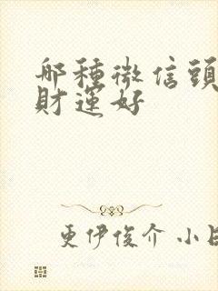 哪种微信头像旺财运好