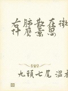 右肺散在微结节什么意思封面