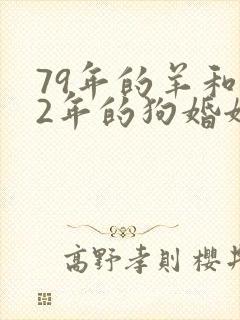 79年的羊和82年的狗婚姻怎么样