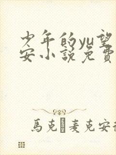 少年的yu望王安小说免费阅读