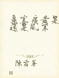 鼻塞痰黄是风热还是风寒