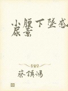 小腹下坠感总有尿意