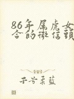 86年属虎女适合的微信头像封面