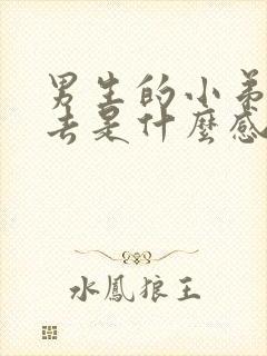 男生的小弟弟进去是什么感觉