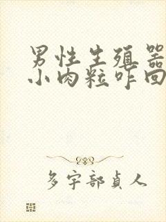 男性生殖器上长小肉粒咋回事