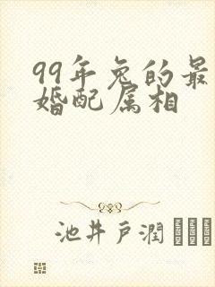 99年兔的最佳婚配属相封面