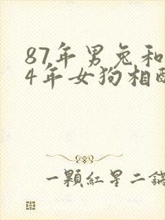 87年男兔和94年女狗相配婚姻如何