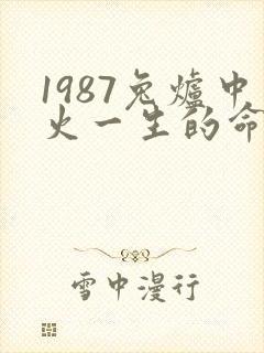 1987兔炉中火一生的命运封面