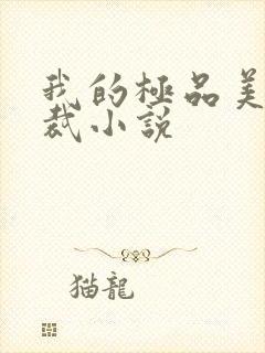 我的极品美女总裁小说