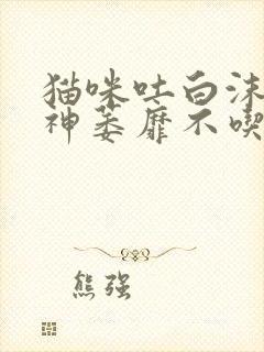 猫咪吐白沫没精神萎靡不吃东西