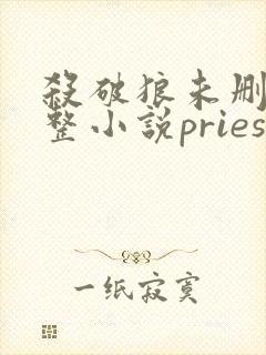 杀破狼未删减完整小说priest
