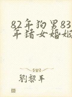 82年狗男83年猪女婚姻相配吗封面