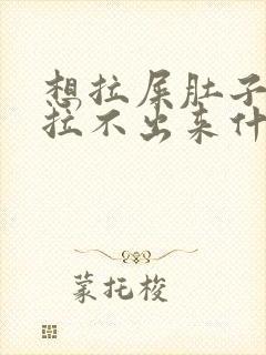 想拉屎肚子疼又拉不出来什么原因