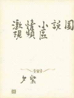 激情小说图片区视频区封面