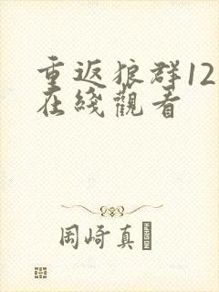 重返狼群12集在线观看
