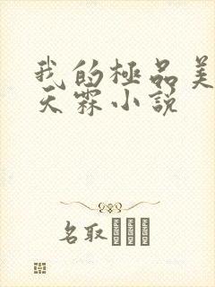 我的极品美女陈天霖小说